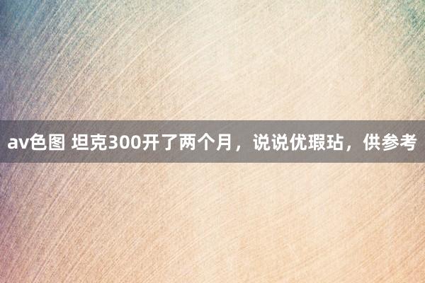 av色图 坦克300开了两个月，说说优瑕玷，供参考