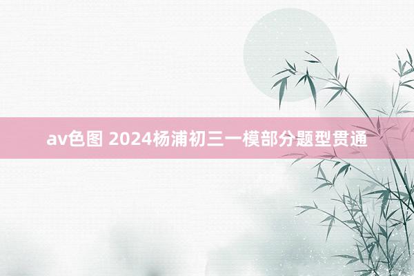 av色图 2024杨浦初三一模部分题型贯通