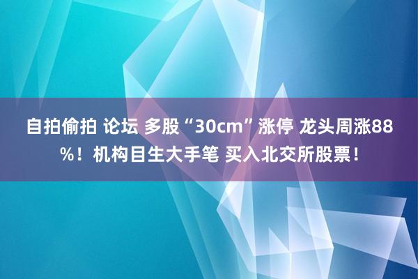 自拍偷拍 论坛 多股“30cm”涨停 龙头周涨88%！机构目生大手笔 买入北交所股票！