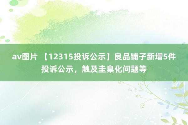 av图片 【12315投诉公示】良品铺子新增5件投诉公示，触及圭臬化问题等