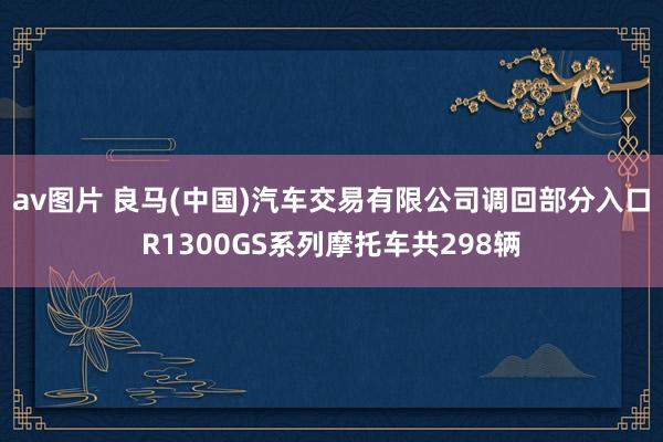 av图片 良马(中国)汽车交易有限公司调回部分入口R1300GS系列摩托车共298辆