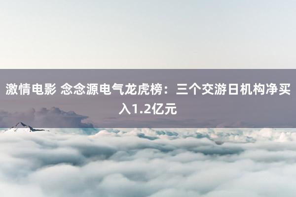 激情电影 念念源电气龙虎榜：三个交游日机构净买入1.2亿元