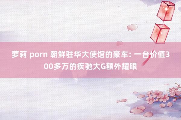 萝莉 porn 朝鲜驻华大使馆的豪车: 一台价值300多万的疾驰大G额外耀眼