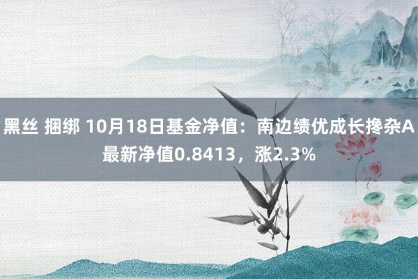 黑丝 捆绑 10月18日基金净值：南边绩优成长搀杂A最新净值0.8413，涨2.3%