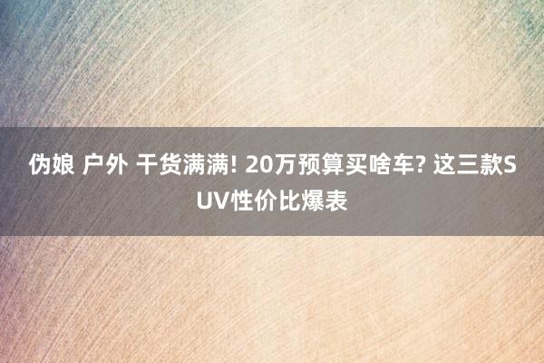 伪娘 户外 干货满满! 20万预算买啥车? 这三款SUV性价比爆表