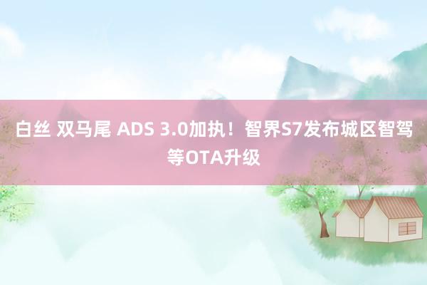 白丝 双马尾 ADS 3.0加执！智界S7发布城区智驾等OTA升级