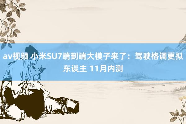 av视频 小米SU7端到端大模子来了：驾驶格调更拟东谈主 11月内测