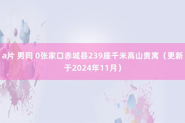 a片 男同 0张家口赤城县239座千米高山贵寓（更新于2024年11月）