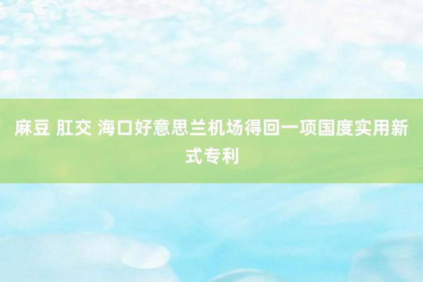 麻豆 肛交 海口好意思兰机场得回一项国度实用新式专利