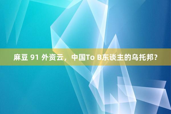 麻豆 91 外资云，中国To B东谈主的乌托邦？