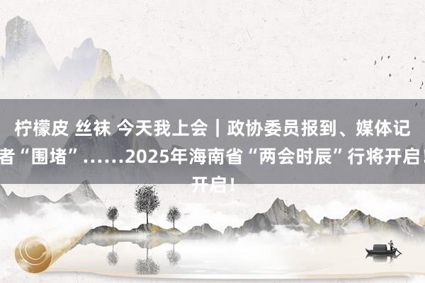 柠檬皮 丝袜 今天我上会｜政协委员报到、媒体记者“围堵”……2025年海南省“两会时辰”行将开启！