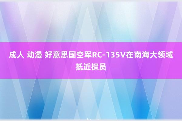 成人 动漫 好意思国空军RC-135V在南海大领域抵近探员